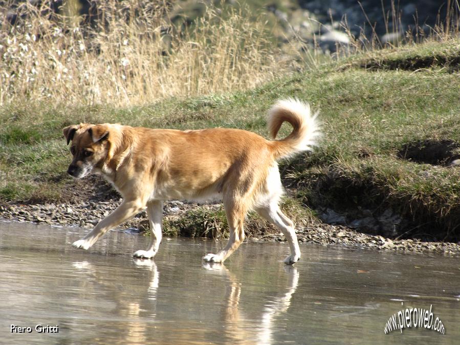 16 Camminare sull'acqua!.jpg